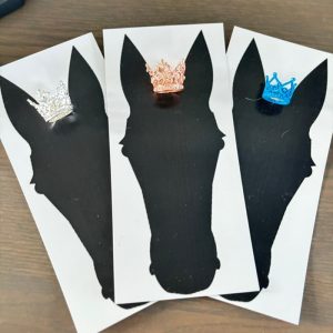 Snaffle Bit Bracelets