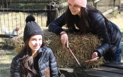 Cape Town Winds vs. Your Hair: The Ultimate Equestrian Beanie Solution | Bossmare